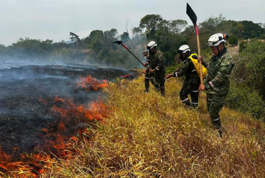 Así avanza el control de los incendios forestales en Cundinamarca