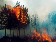¡Cundinamarca en alerta! Agosto ya concentra la mayoría de hectáreas afectadas por incendios forestales
