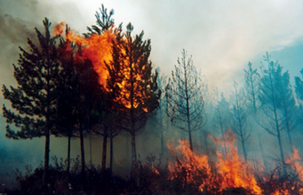 ¡Cundinamarca en alerta! Agosto ya concentra la mayoría de hectáreas afectadas por incendios forestales