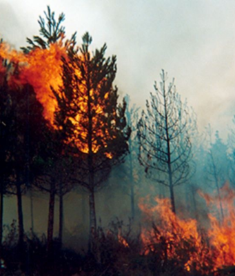 ¡Cundinamarca en alerta! Agosto ya concentra la mayoría de hectáreas afectadas por incendios forestales