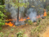 ¡Impresionante operativo en La Vega! Más de 24 descargas aéreas para controlar un incendio forestal