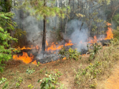 ¡Impresionante operativo en La Vega! Más de 24 descargas aéreas para controlar un incendio forestal