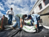 ¡Cundinamarca se prepara para el Fenómeno de El Niño! Producirán 3.100 toneladas de alimento para el ganado