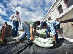 ¡Cundinamarca se prepara para el Fenómeno de El Niño! Producirán 3.100 toneladas de alimento para el ganado