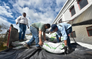 ¡Cundinamarca se prepara para el Fenómeno de El Niño! Producirán 3.100 toneladas de alimento para el ganado