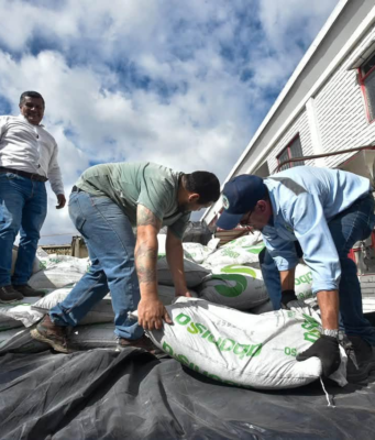 ¡Cundinamarca se prepara para el Fenómeno de El Niño! Producirán 3.100 toneladas de alimento para el ganado