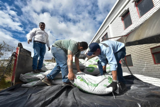 ¡Cundinamarca se prepara para el Fenómeno de El Niño! Producirán 3.100 toneladas de alimento para el ganado