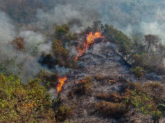En Cundinamarca 16 incendios forestales fueron atendidos en un solo día
