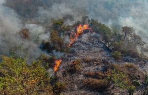 En Cundinamarca 16 incendios forestales fueron atendidos en un solo día