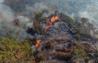 En Cundinamarca 16 incendios forestales fueron atendidos en un solo día