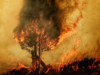Cundinamarca entra en alerta: septiembre podría convertirse en un mes crítico por los incendios