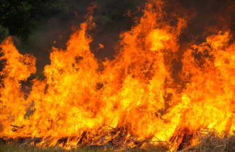 Cundinamarca no da tregua: casi 800 incendios forestales y 48 municipios en alerta