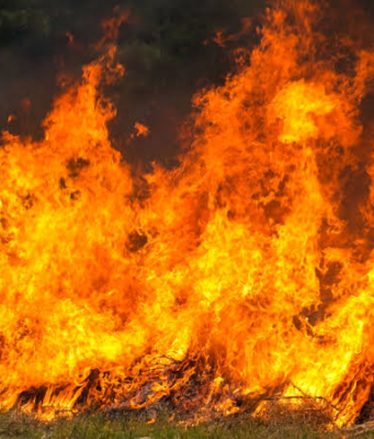 Cundinamarca no da tregua: casi 800 incendios forestales y 48 municipios en alerta