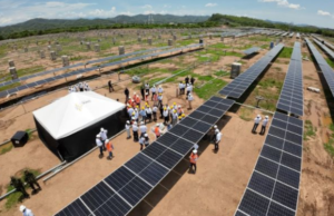 Del campo a Bogotá: Cundinamarca construirá parque solar para generar energía