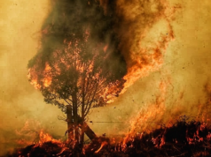 Cundinamarca entra en alerta: septiembre podría convertirse en un mes crítico por los incendios