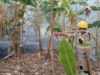 Cundinamarca supera los 800 incendios forestales en 2026: 3.140 hectáreas han resultado afectadas