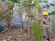 Cundinamarca supera los 800 incendios forestales en 2026: 3.140 hectáreas han resultado afectadas