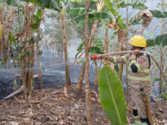 Cundinamarca supera los 800 incendios forestales en 2026: 3.140 hectáreas han resultado afectadas