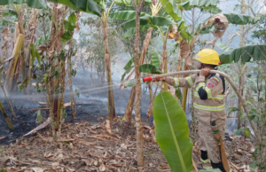 Cundinamarca supera los 800 incendios forestales en 2026: 3.140 hectáreas han resultado afectadas