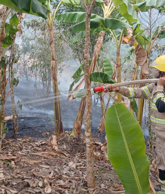 Cundinamarca supera los 800 incendios forestales en 2026: 3.140 hectáreas han resultado afectadas