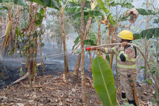 Cundinamarca supera los 800 incendios forestales en 2026: 3.140 hectáreas han resultado afectadas