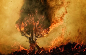 Cundinamarca entra en alerta: septiembre podría convertirse en un mes crítico por los incendios