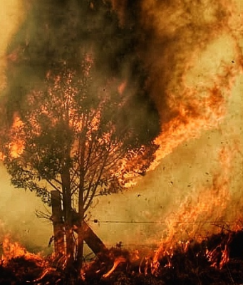 Cundinamarca entra en alerta: septiembre podría convertirse en un mes crítico por los incendios