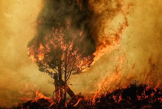 Cundinamarca entra en alerta: septiembre podría convertirse en un mes crítico por los incendios