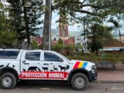 Estas son las jornadas que buscan frenar el maltrato animal en Cundinamarca