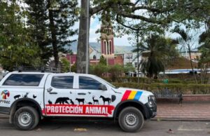 Estas son las jornadas que buscan frenar el maltrato animal en Cundinamarca
