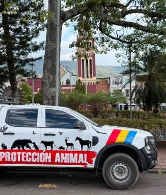 Estas son las jornadas que buscan frenar el maltrato animal en Cundinamarca