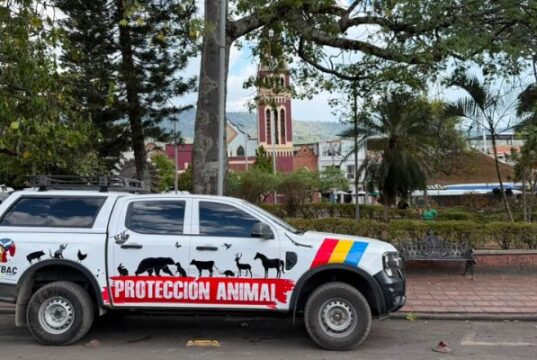 Estas son las jornadas que buscan frenar el maltrato animal en Cundinamarca