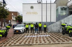 Golpe al narcotráfico en Cundinamarca: incautan 145 paquetes de marihuana